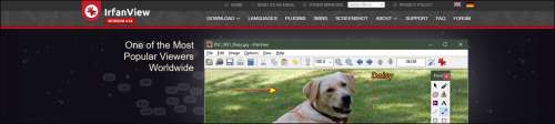 Irfanview website